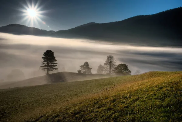 Malebný Pohled Krajinu Selektivní Zaměření — Stock fotografie