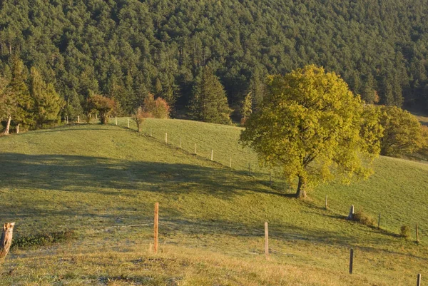 Pittoresk Uitzicht Natuur — Stockfoto