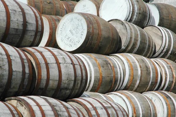 Wine Barrels Cellar — Stock Photo, Image
