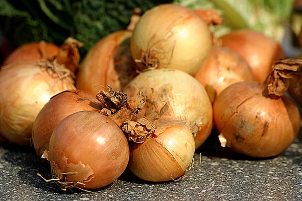 Vegetarisk Mat Selektivt Fokus — Stockfoto