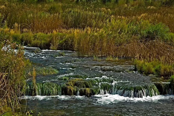 Водопад Природе Поток Воды — стоковое фото