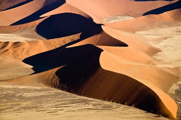 Vue Panoramique Des Dunes Mise Point Sélective — Photo