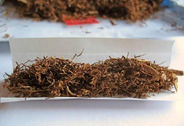 Fechar Acima Grupo Folhas Secas Tabaco — Fotografia de Stock