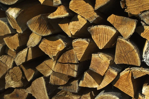 Logs Timber Firewood Trunks — Stock Photo, Image