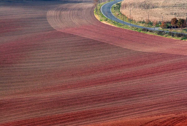 Countryside Field Nature Agrarian — Stock Photo, Image