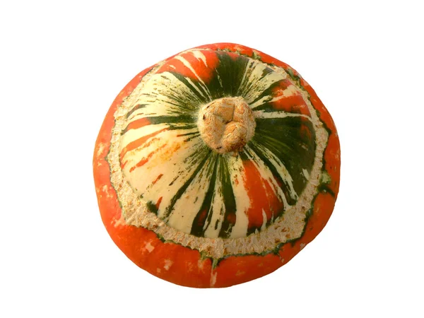 Turbante Turk Cucurbita Maxima Uma Abóbada Ornamental Comestível — Fotografia de Stock