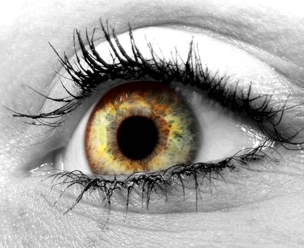 Макрокадр Человеческого Глаза — стоковое фото