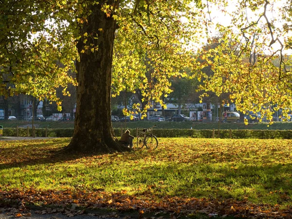 Atmosfera Autumnal Foco Seletivo — Fotografia de Stock