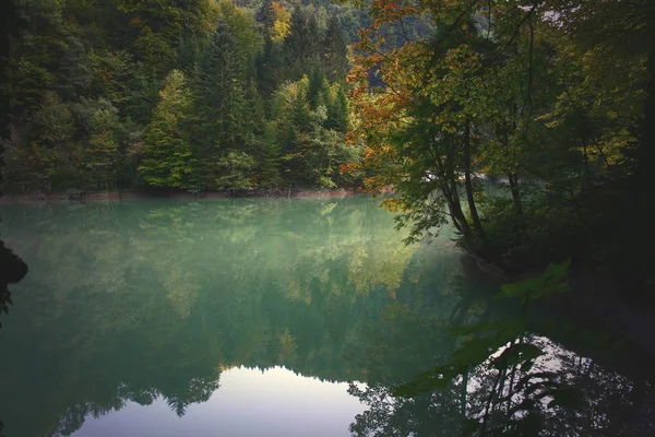 Staufensee Reservoir Rappenlochschlucht Dornbirn One Most Beautiful Destinations Town Canyon — Stock Photo, Image