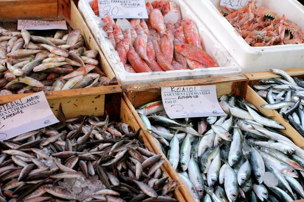 Parada Pescado Mercado Semanal —  Fotos de Stock