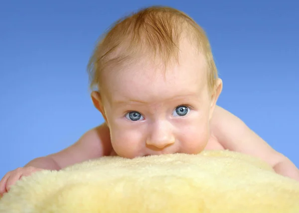 Baby Kruipt Bij Eerste Poging — Stockfoto