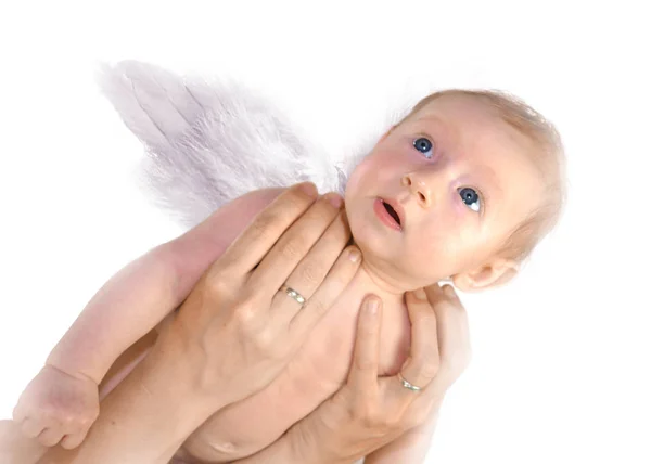 Почати Маленького Ангела — стокове фото