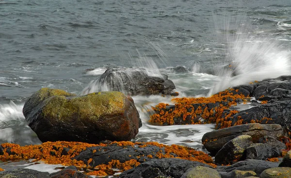 Gyönyörű Sziklás Strand Csendes Óceánon — Stock Fotó