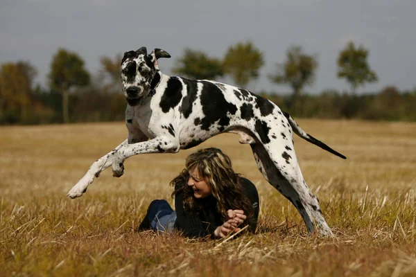 Parkta Köpeği Olan Genç Bir Kadın — Stok fotoğraf