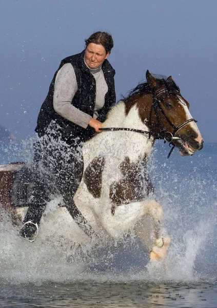 Jag Tänkte Att Ett Något Lägre Perspektiv Blir Bättre Amp — Stockfoto