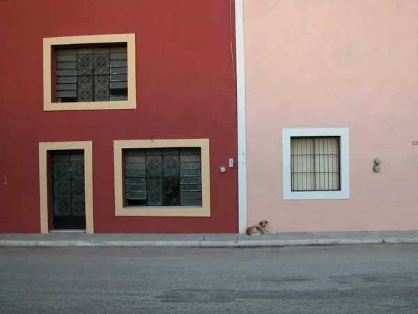 Μοναχικό Σκυλί U200B U200Bin Μπροστά Από Ροζ Σπίτι — Φωτογραφία Αρχείου