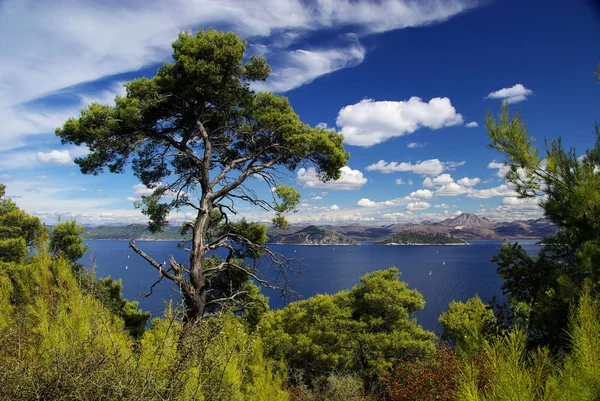 Pulau Murter Sebelum Pulau — Stok Foto