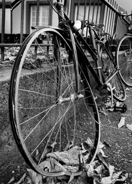 公園に停まった自転車は — ストック写真