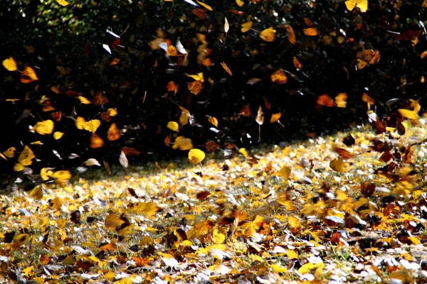 Fundo Colorido Para Natal Ano Novo Cartão Férias — Fotografia de Stock