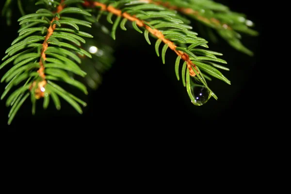 圣诞节或新年贺卡色彩艳丽的背景 — 图库照片