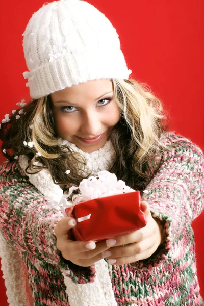 Holiday Portrait Beautiful Woman — Stock Photo, Image