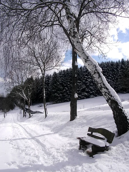 Prachtig Besneeuwd Winterlandschap — Stockfoto