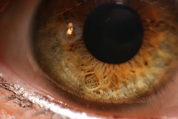 Oko Ludzkiej Czaszki Postaci Dyni — Zdjęcie stockowe