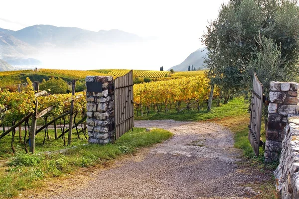 Südtirol Oder Südtirol Ist Eine Provinz Nordosten Italiens — Stockfoto