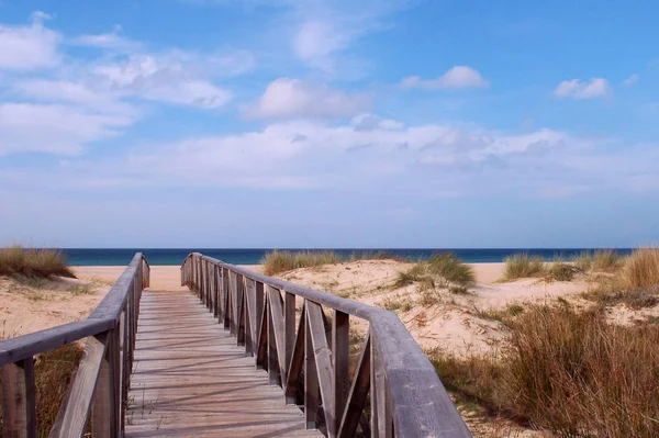 Vista Panoramica Delle Dune Focus Selettivo — Foto Stock