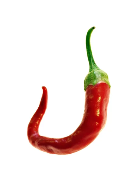 Pimiento Rojo Picante Aislado Sobre Fondo Blanco — Foto de Stock