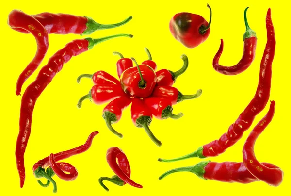 Piros Chili Paprika Sárga Alapon — Stock Fotó