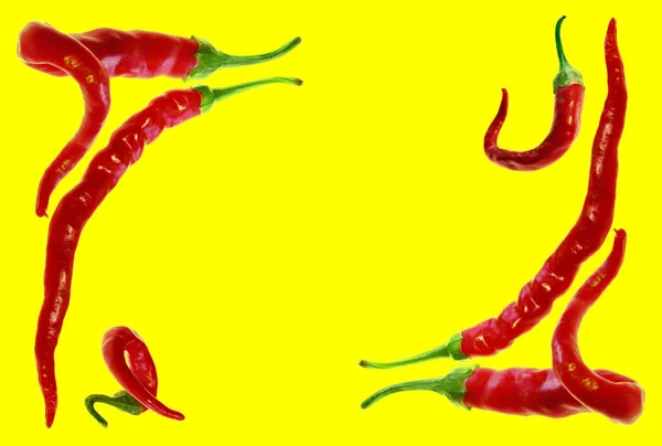 Röd Chili Peppar Gul Bakgrund — Stockfoto