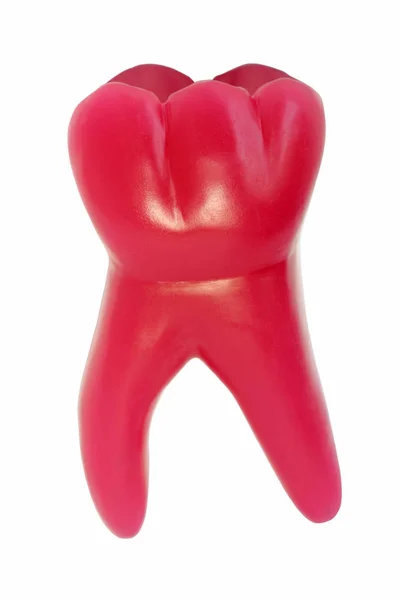 白色背景下孤立的红牙模型 — 图库照片