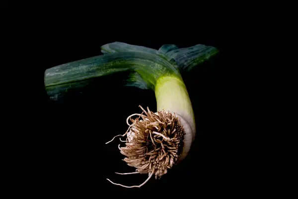 Alimentos Diferentes Foco Seletivo — Fotografia de Stock