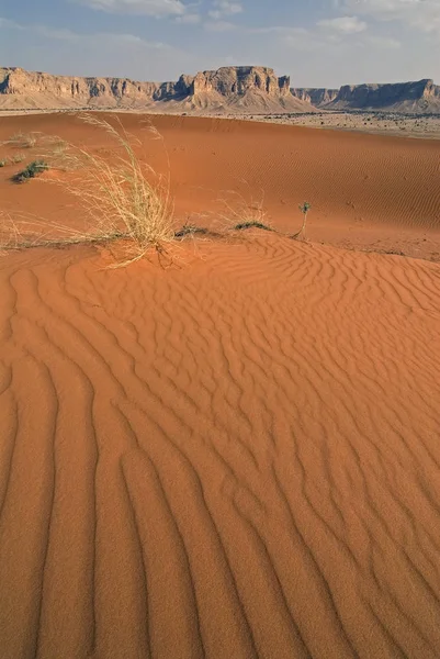 Areias Vermelhas Saudi Arabia — Fotografia de Stock