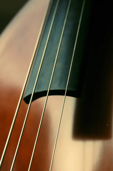 Närbild Gitarr — Stockfoto