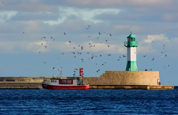 Sassnitz Limanı Şehir Limanı — Stok fotoğraf