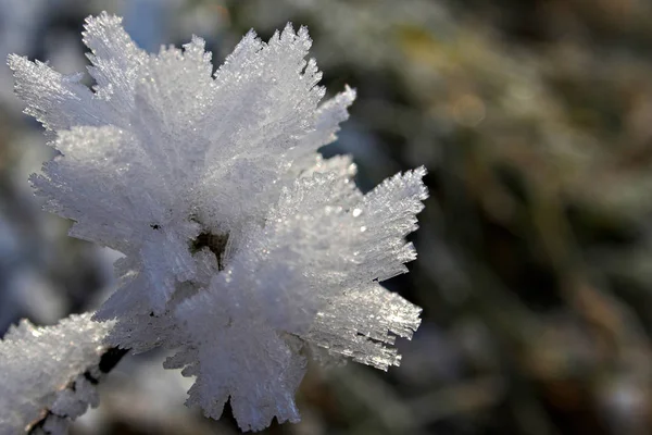 Padrão Geada Inverno Frio — Fotografia de Stock