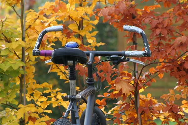Bicicleta Parque — Fotografia de Stock