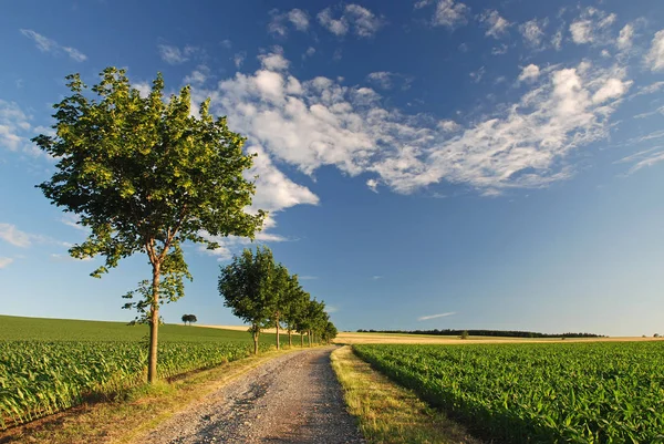 Vacker Utsikt Över Naturen — Stockfoto