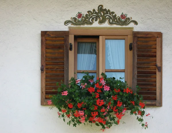Fönster Med Blommor Kruka — Stockfoto