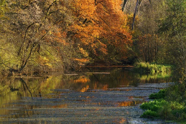 Rhine One Major European Rivers Which Has Its Sources Switzerland — Stock Photo, Image