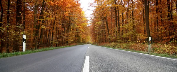 Picturesque View Nature Scene — Stock Photo, Image