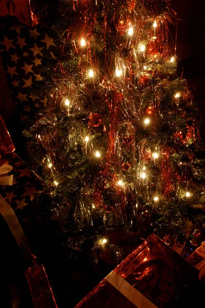 Weihnachtsfeier Saisonale Dekoration — Stockfoto
