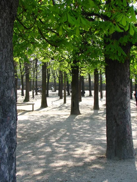 Bella Giornata Natura Parco — Foto Stock