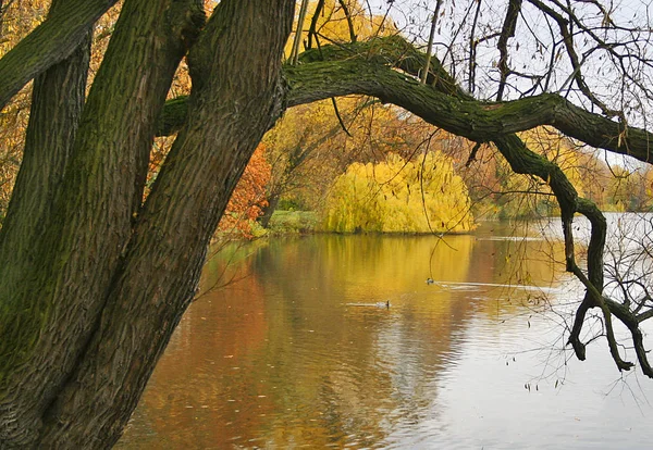 Autunno Lago — Foto Stock