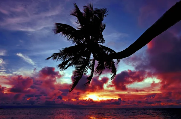 Západ Slunce Seychelloise Západ Slunce Při Anse Takamaka — Stock fotografie