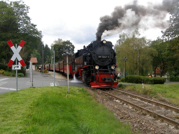 Velha Locomotiva Vapor Parque — Fotografia de Stock
