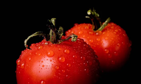 Tomates Rojos Con Gotas —  Fotos de Stock