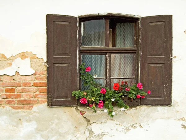 Ventana Con Flores Pared — Foto de Stock